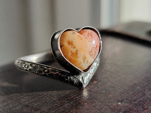 Feather Ridge Plume Agate  Ring - Darkened Heart Collection (size 6-10)